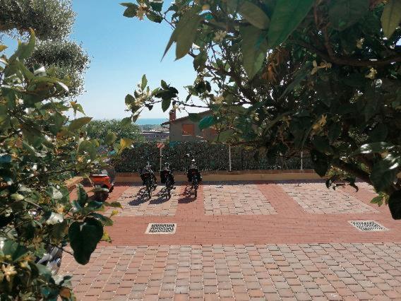 Dimora Effe - Eco B&B Termoli Εξωτερικό φωτογραφία